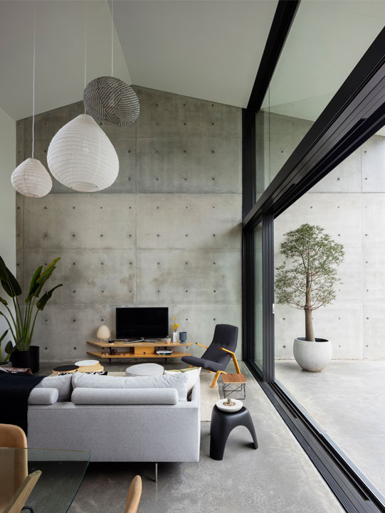 Binary House by Christopher Polly Architect