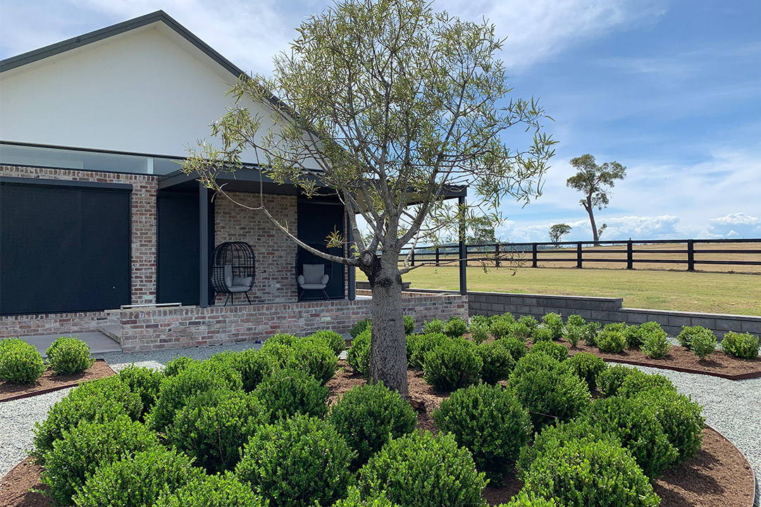 Tech-Scapes-feature-1 Tech Scapes Australia Landscaping