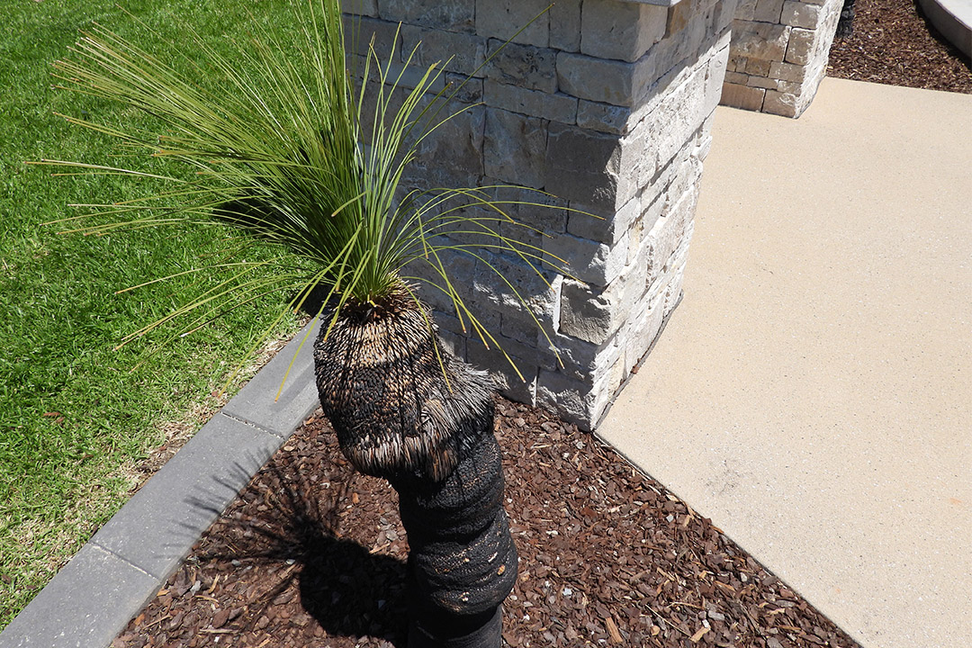 Tech-Scapes-feature-3 Tech Scapes Australia Landscaping