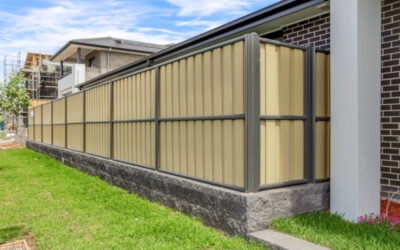 A Revolution in Fencing