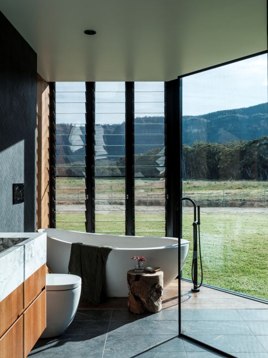 J-Mammone-Architecture_Bathroom GlasbyBuilding_OpenLiving